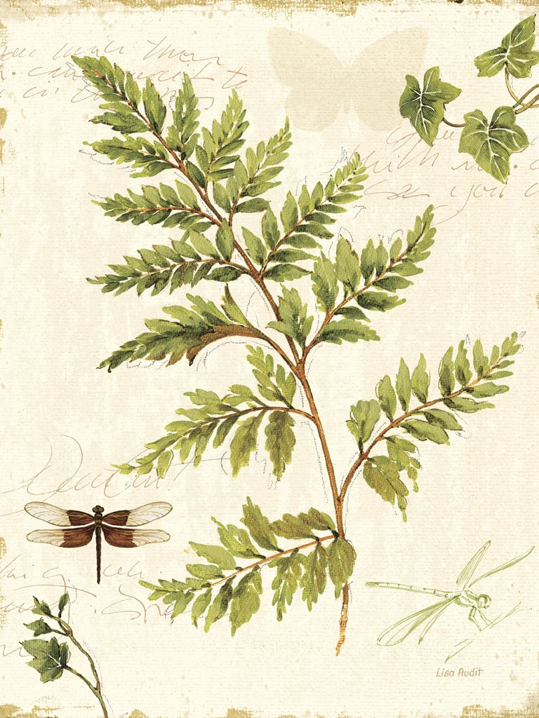 Ivies and Ferns I Crop by Lisa Audit