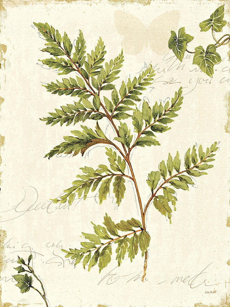 Ivies and Ferns I no Dragonfly by Lisa Audit