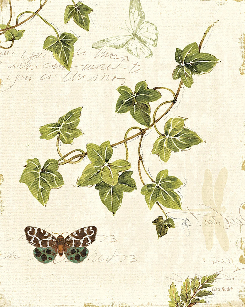 Ivies and Ferns II by Lisa Audit