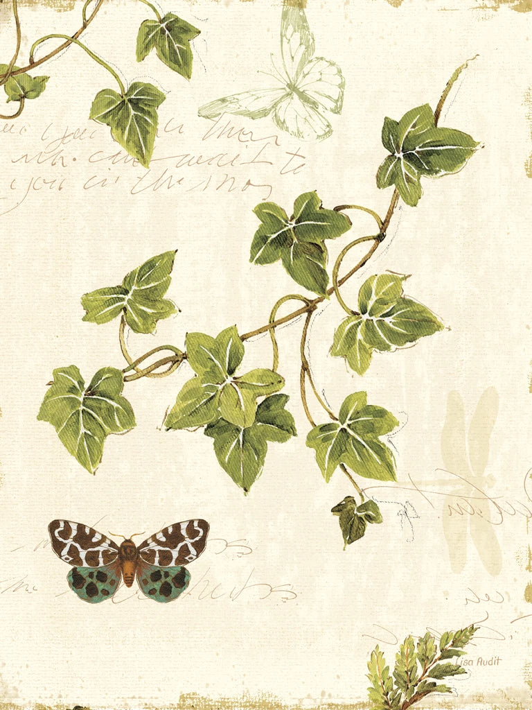 Ivies and Ferns II Crop by Lisa Audit