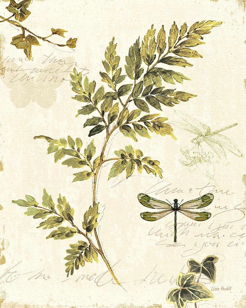 Ivies and Ferns III by Lisa Audit