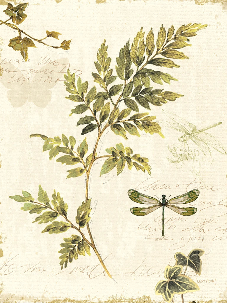 Ivies and Ferns III Crop by Lisa Audit