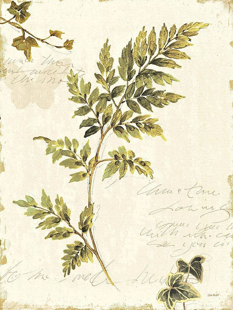 Ivies and Ferns III no Dragonfly by Lisa Audit