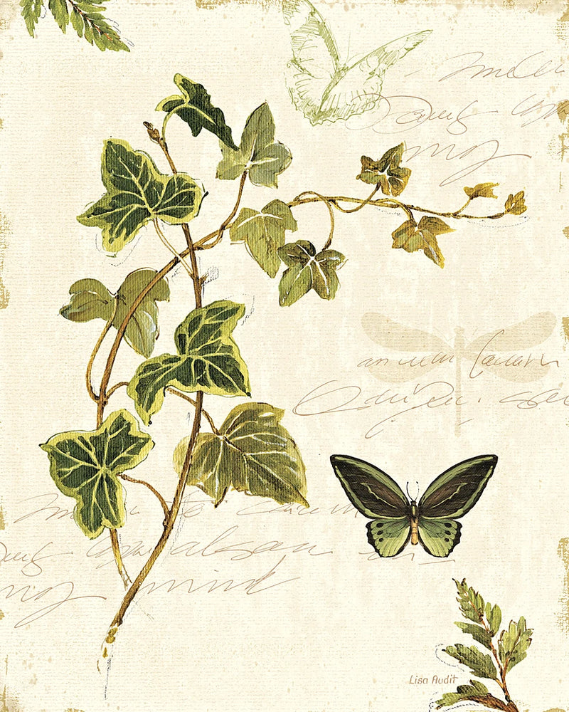 Ivies and Ferns IV by Lisa Audit