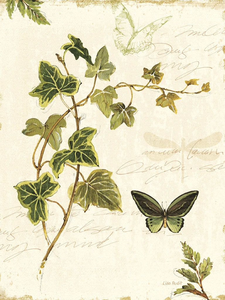 Ivies and Ferns IV Crop by Lisa Audit