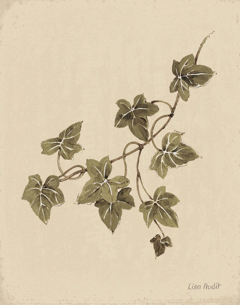 Ivy Leaves by Lisa Audit