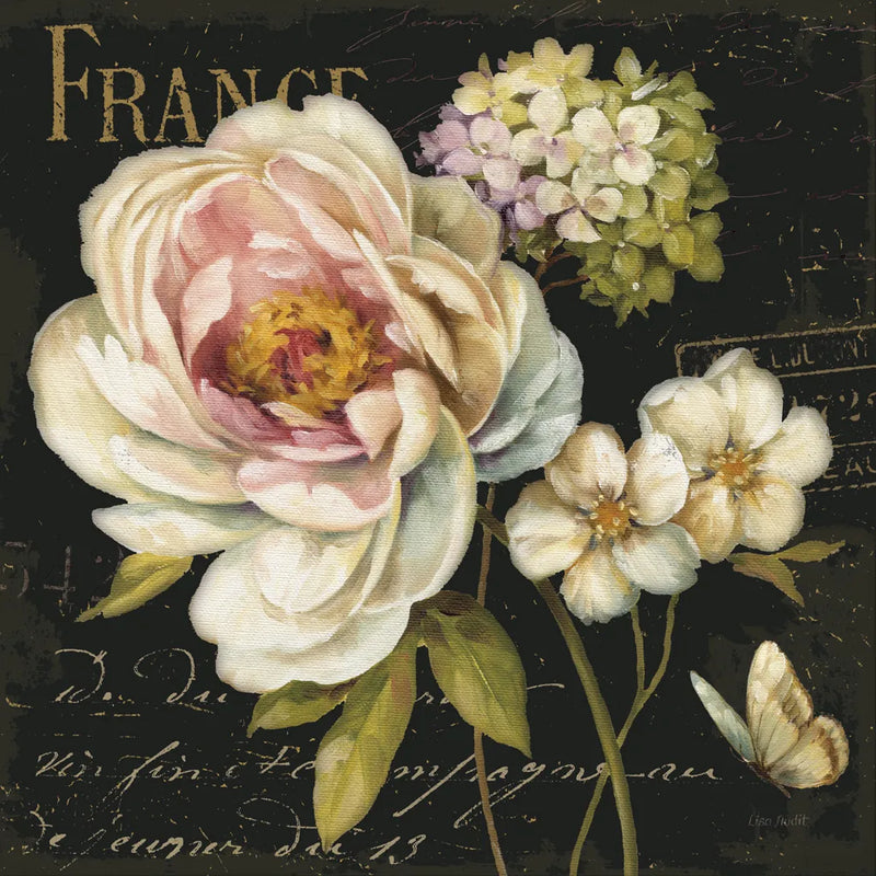 Marche de Fleurs III on Black by Lisa Audit. SKU 7878a. Archival Giclee Fine art print for wall decor.