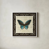 Marche de Fleurs Teal Butterfly by Lisa Audit. Shown in a crisp white glass frame for a clean and minimalist style. Available as an archival giclee rolled canvas, fine art paper, or poster print. SKU 10305a.