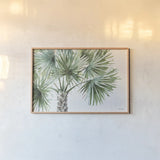 Mixed Greens I by Lisa Audit. shown as a paper print in a natural frame. Available as a archival giclee rolled canvas, fine art paper, or poster print. SKU 36459i.