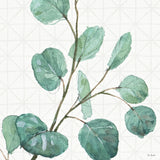 Mixed Greens LI by Lisa Audit. SKU 36527a. Archival Giclee Fine art print for wall decor.