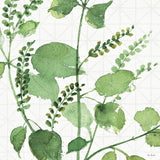 Mixed Greens LIII by Lisa Audit. SKU 36529a. Archival Giclee Fine art print for wall decor.