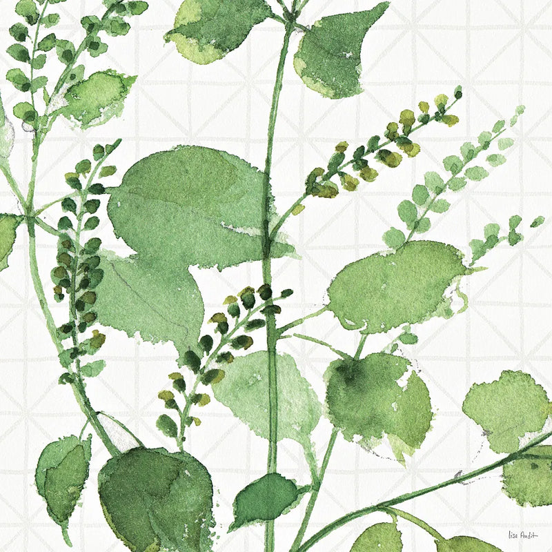 Mixed Greens LIII by Lisa Audit. SKU 36529a. Archival Giclee Fine art print for wall decor.