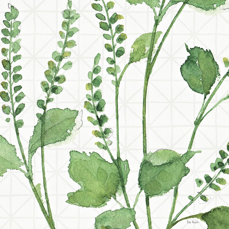 Mixed Greens LIV by Lisa Audit. SKU 36530a. Archival Giclee Fine art print for wall decor.