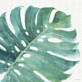 Mixed Greens LXXIII by Lisa Audit. SKU 36549a. Archival Giclee Fine art print for wall decor.