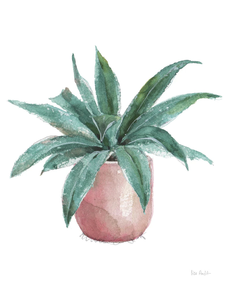 Mixed Greens Succulent I by Lisa Audit