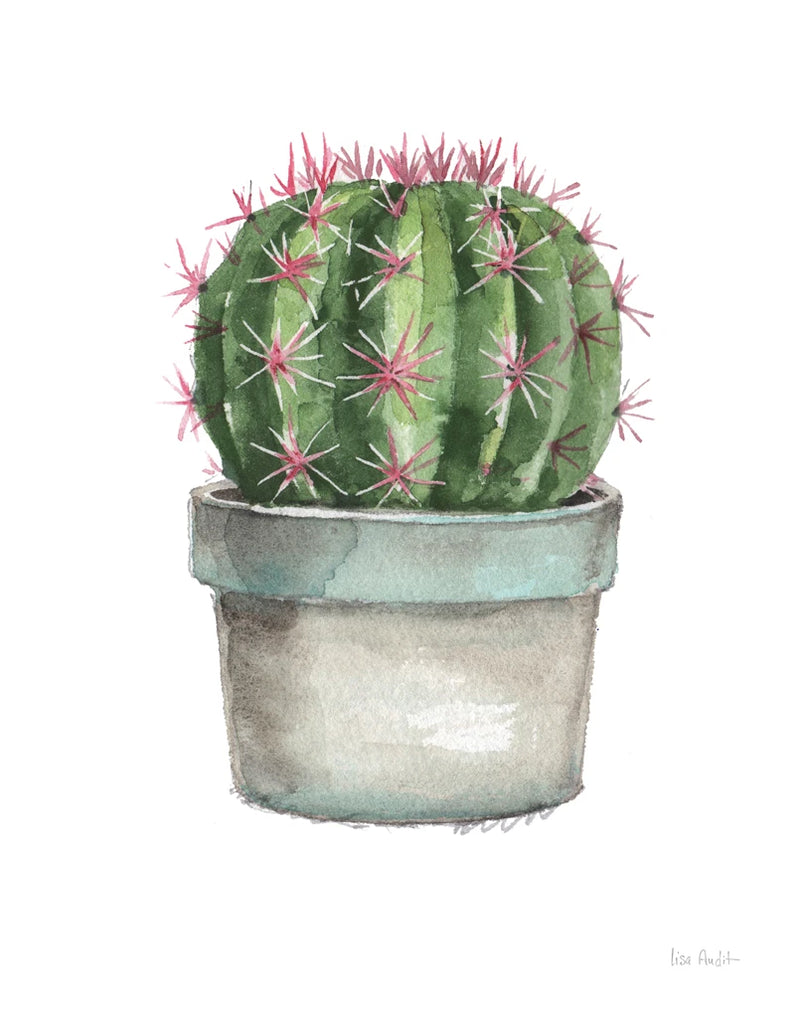 Mixed Greens Succulent II by Lisa Audit