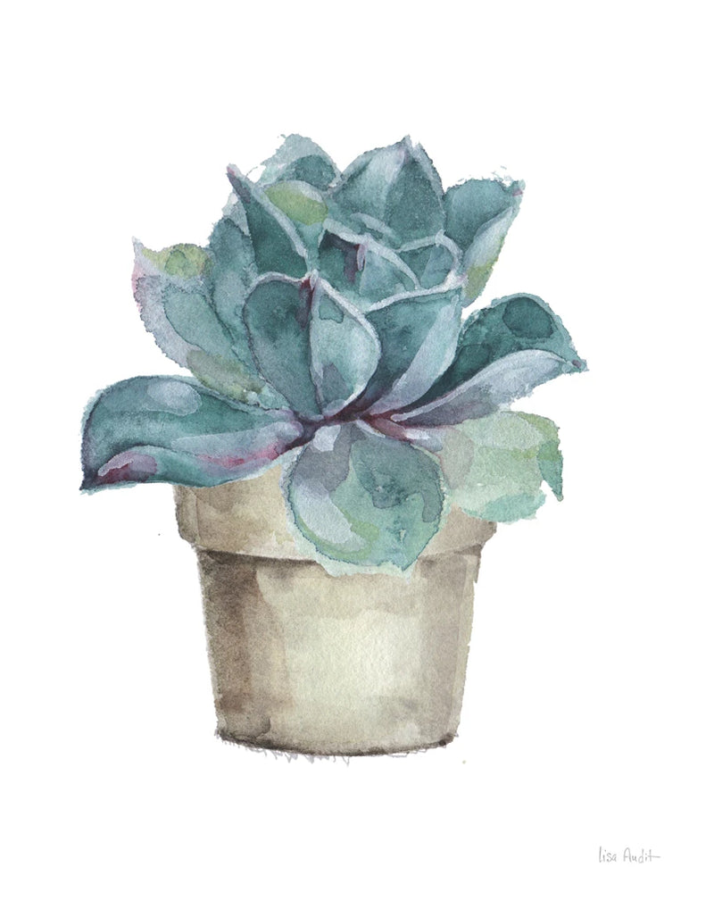 Mixed Greens Succulent IV by Lisa Audit
