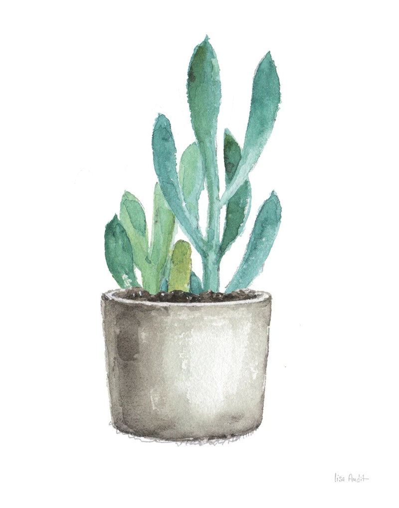 Mixed Greens Succulent V by Lisa Audit