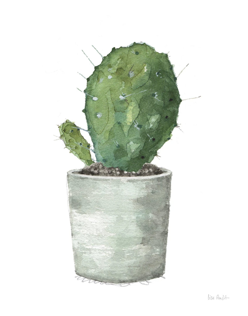 Mixed Greens Succulent VI by Lisa Audit