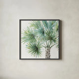Mixed Greens VI by Lisa Audit. Shown in a sleek black glass frame for a contemporary gallery look. Available as an archival giclee rolled canvas, fine art paper, or poster print. SKU 36464a.