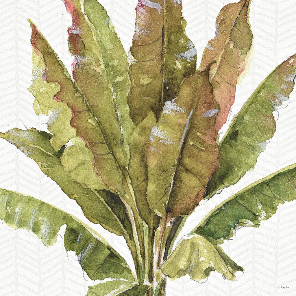 Mixed Greens VII by Lisa Audit. SKU 36465a. Archival Giclee Fine art print for wall decor.