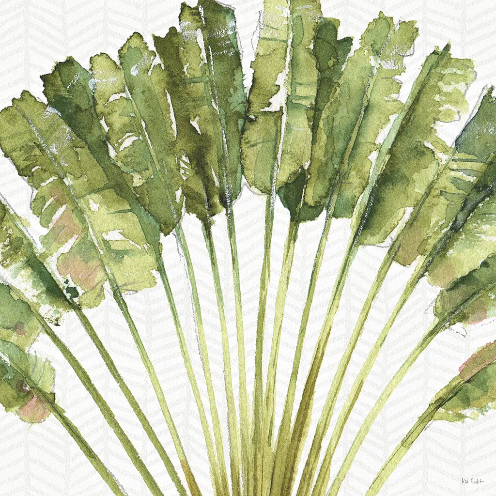 Mixed Greens VIII by Lisa Audit. SKU 36466a. Archival Giclee Fine art print for wall decor.