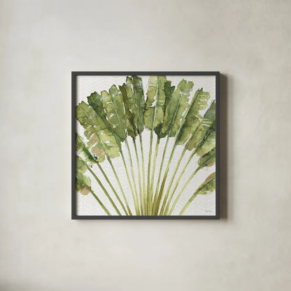 Mixed Greens VIII by Lisa Audit. Shown in a sleek black glass frame for a contemporary gallery look. Available as an archival giclee rolled canvas, fine art paper, or poster print. SKU 36466a.