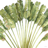 Mixed Greens VIII on White by Lisa Audit. SKU 82378a. Archival Giclee Fine art print for wall decor.