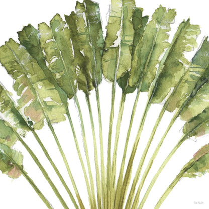 Mixed Greens VIII on White by Lisa Audit. SKU 82378a. Archival Giclee Fine art print for wall decor.