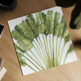 Mixed Greens VIII on White by Lisa Audit. Shown as a detailed flat fine art print, highlighting archival giclee quality. Available as an archival giclee rolled canvas, fine art paper, or poster print. SKU 82378a.