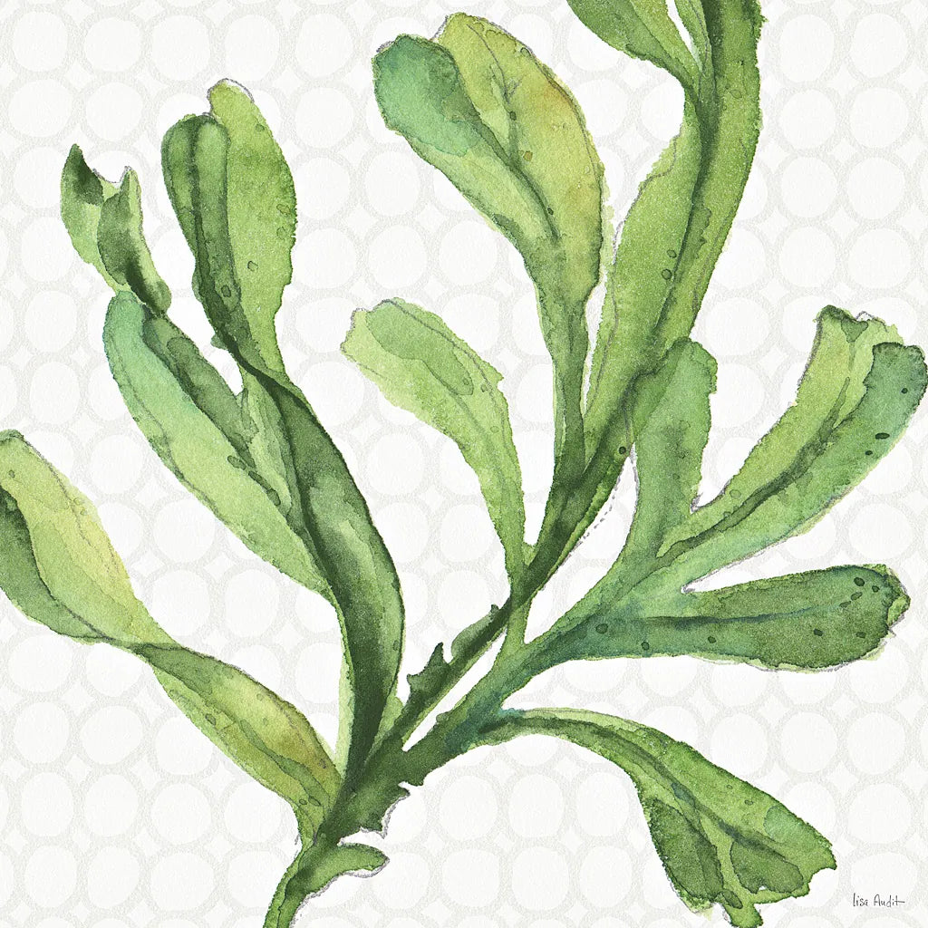Mixed Greens XIX by Lisa Audit. SKU 36477a. Archival Giclee Fine art print for wall decor.
