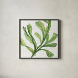 Mixed Greens XIX by Lisa Audit. Shown in a sleek black glass frame for a contemporary gallery look. Available as an archival giclee rolled canvas, fine art paper, or poster print. SKU 36477a.