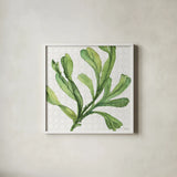 Mixed Greens XIX by Lisa Audit. Shown in a crisp white glass frame for a clean and minimalist style. Available as an archival giclee rolled canvas, fine art paper, or poster print. SKU 36477a.