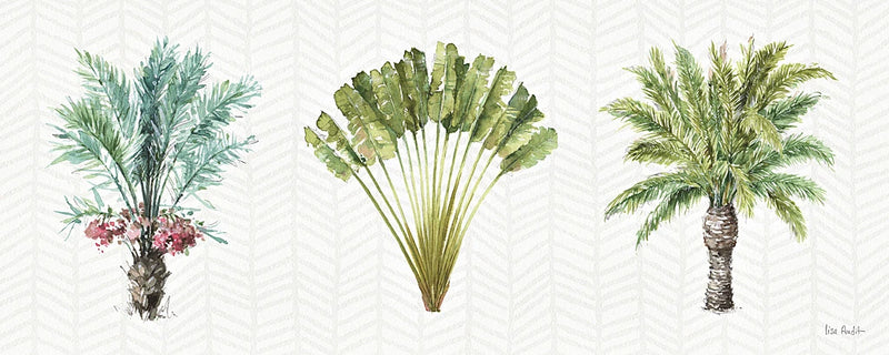 Mixed Greens XVI by Lisa Audit