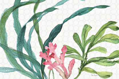 Mixed Greens XVII by Lisa Audit. SKU 36475i. Archival Giclee Fine art print for wall decor.