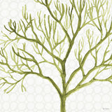 Mixed Greens XXII by Lisa Audit. SKU 36480a. Archival Giclee Fine art print for wall decor.