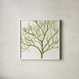 Mixed Greens XXII by Lisa Audit. Shown in a crisp white glass frame for a clean and minimalist style. Available as an archival giclee rolled canvas, fine art paper, or poster print. SKU 36480a.