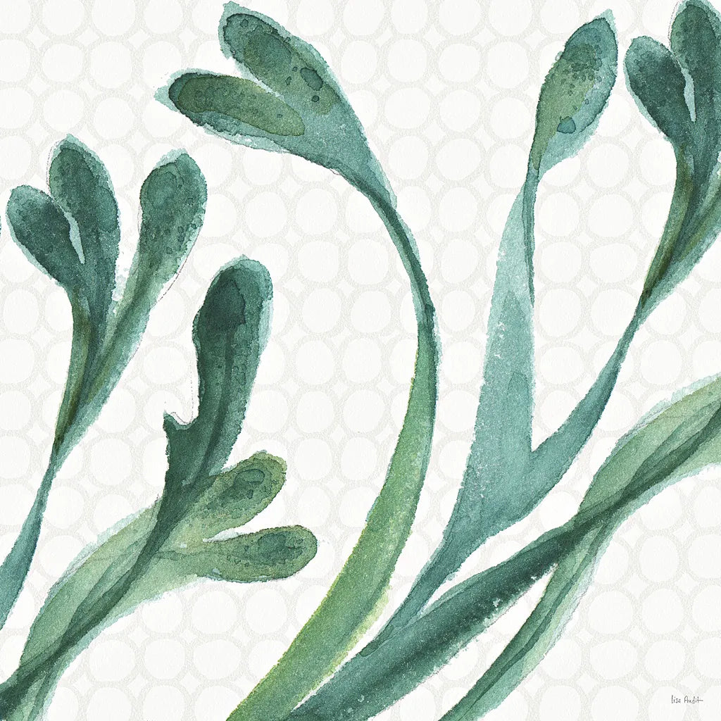 Mixed Greens XXIV by Lisa Audit. SKU 36482a. Archival Giclee Fine art print for wall decor.