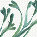 Mixed Greens XXIV by Lisa Audit. SKU 36482a. Archival Giclee Fine art print for wall decor.