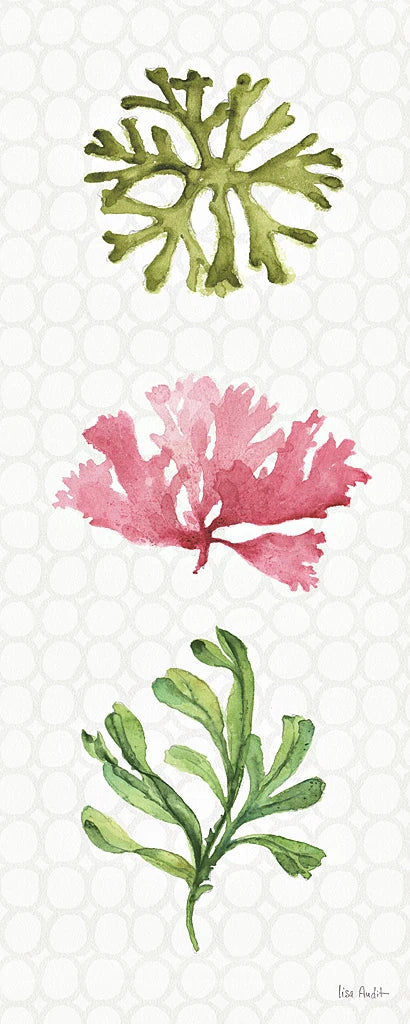 Mixed Greens XXVII by Lisa Audit
