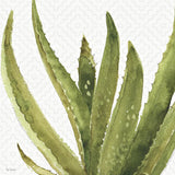 Mixed Greens XXXVIII by Lisa Audit. SKU 36496a. Archival Giclee Fine art print for wall decor.