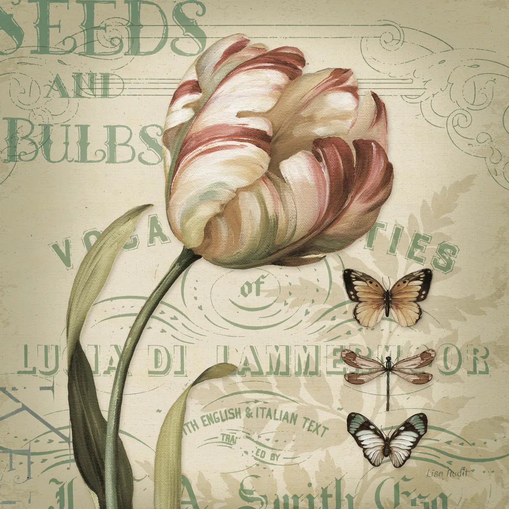 Mothers Treasure V Vintage Square by Lisa Audit. SKU 99359a. Archival Giclee Fine art print for wall decor.