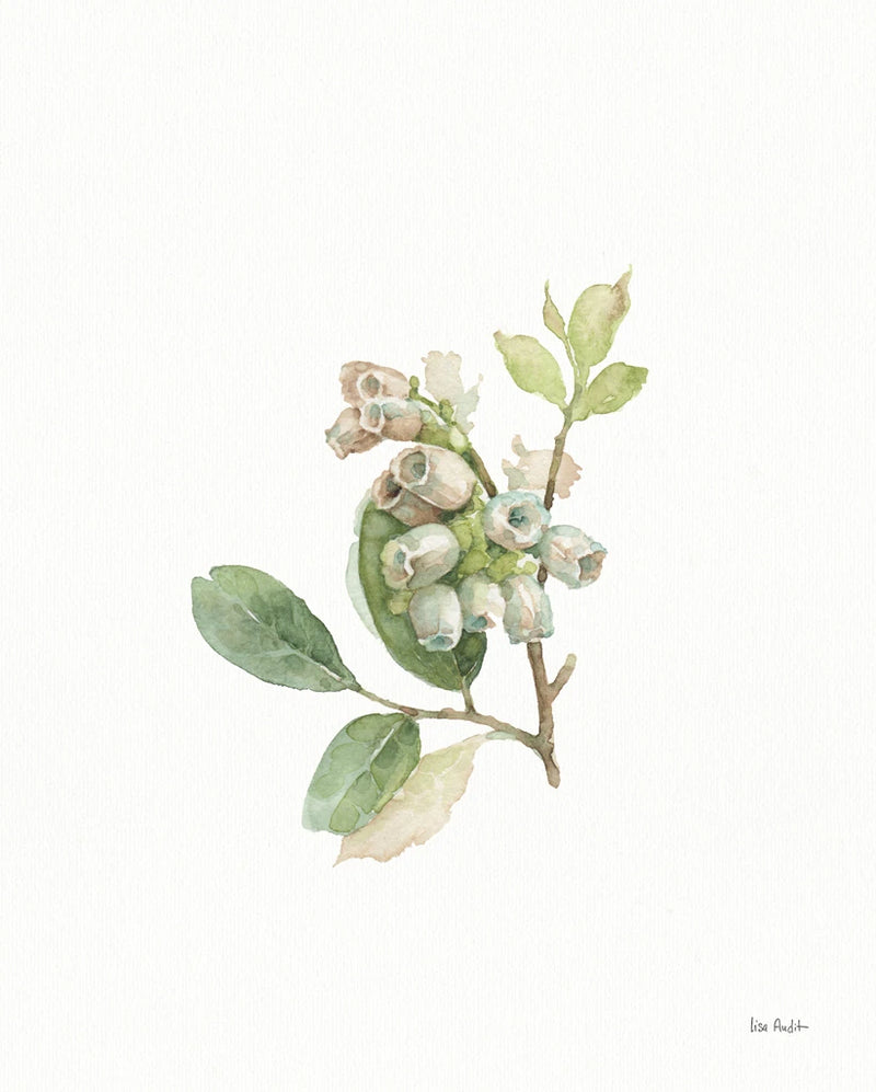 My Greenhouse Blueberry Blossom by Lisa Audit