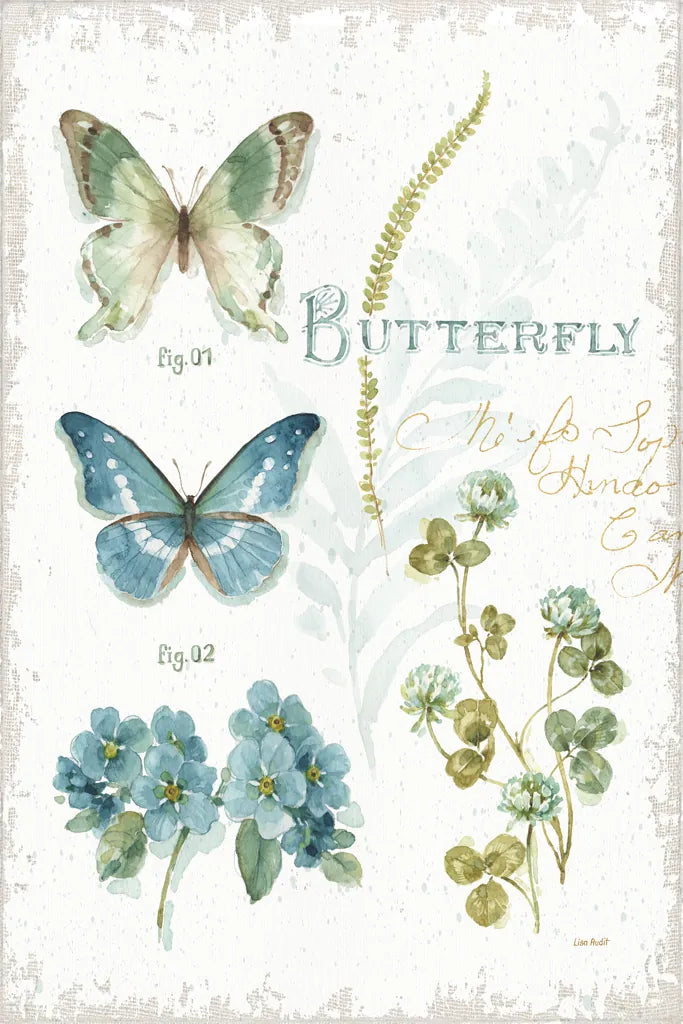 My Greenhouse Botanical Butterfly by Lisa Audit. SKU 63182h. Archival Giclee Fine art print for wall decor.