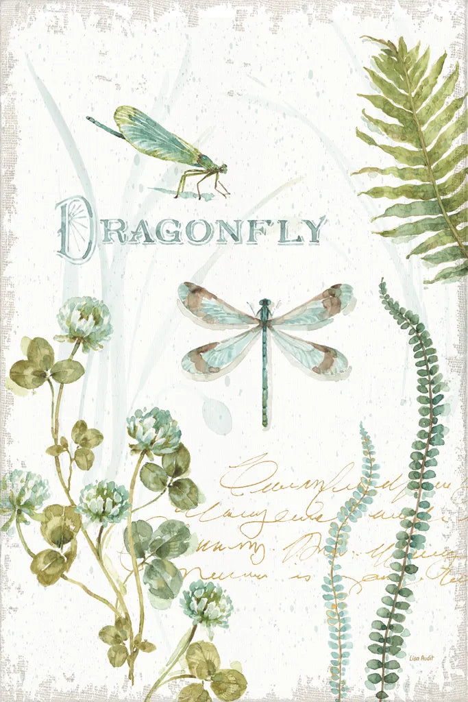 My Greenhouse Botanical Dragonfly by Lisa Audit. SKU 63181h. Archival Giclee Fine art print for wall decor.