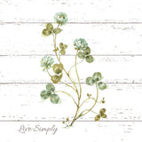 My Greenhouse Clove Live Simply Square by Lisa Audit. SKU 54115a. Archival Giclee Fine art print for wall decor.
