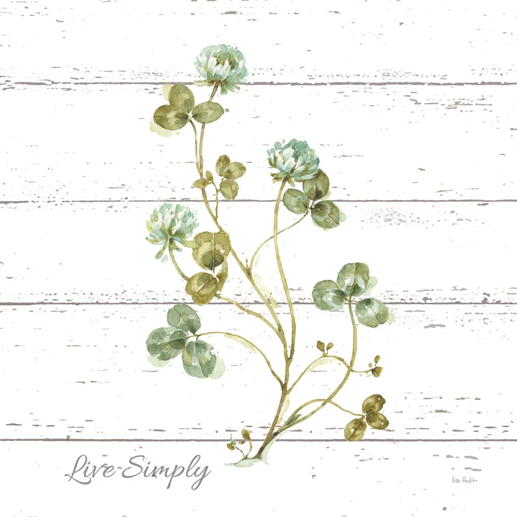 My Greenhouse Clove Live Simply Square by Lisa Audit. SKU 54115a. Archival Giclee Fine art print for wall decor.