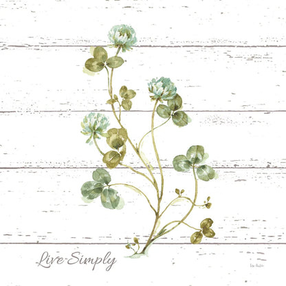 My Greenhouse Clove Live Simply Square by Lisa Audit. SKU 54115a. Archival Giclee Fine art print for wall decor.