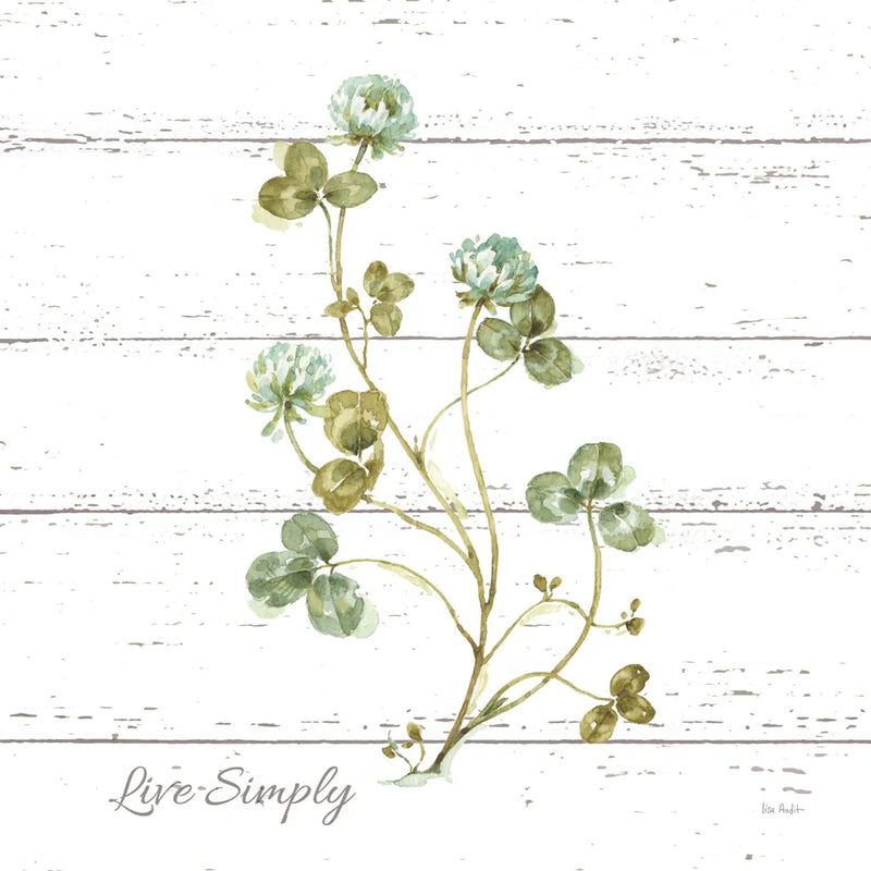 My Greenhouse Clove Live Simply Square by Lisa Audit. SKU 54115a. Archival Giclee Fine art print for wall decor.