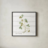 My Greenhouse Clove Live Simply Square by Lisa Audit. Shown in a sleek black glass frame for a contemporary gallery look. Available as an archival giclee rolled canvas, fine art paper, or poster print. SKU 54115a.